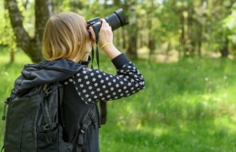 What Is The Difference Between A Dendrologist And An Arborist?
