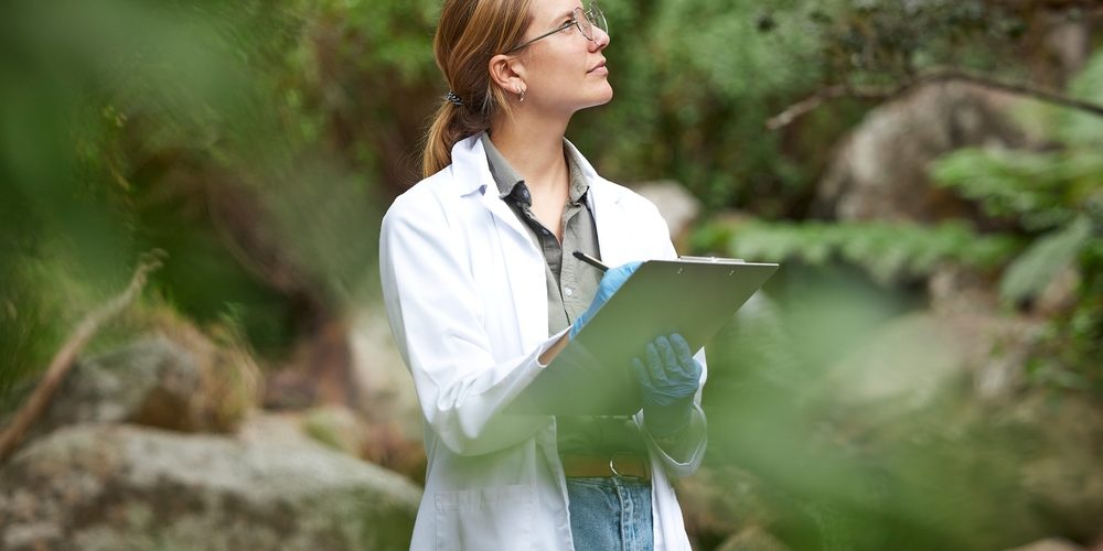 What Is The Study Of Trees Called?