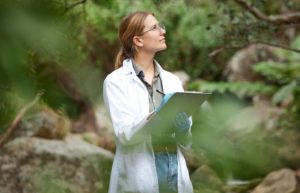 What Is The Study Of Trees Called