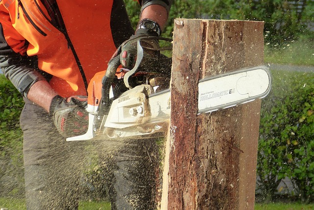 How Do You Cut Tall Trees Close To Your House?