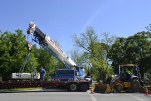 What Are The Risks Associated With An Arborist