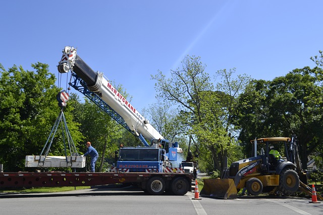 What Are The Risks Associated With An Arborist?