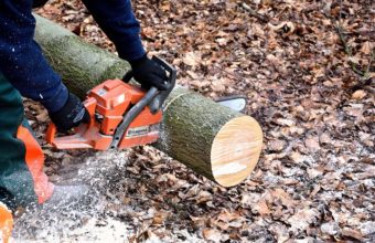What Chainsaw Do Most Arborists Use?