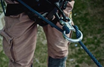 What Is A Professional Tree Climber Called?