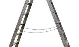 What Is The Best Ladder To Cut Trees
