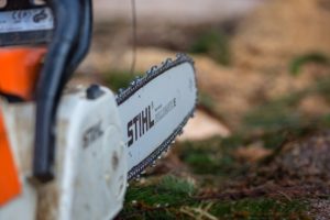 What Is The Hardest Wood To Cut With Chainsaw