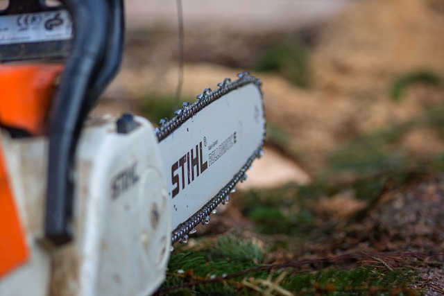 What Is The Hardest Wood To Cut With Chainsaw?