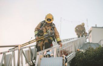 What Is The Safest Ladder For Tree Trimming?