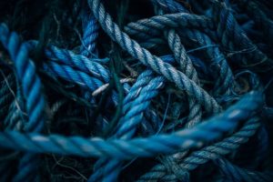 What Knot Do Arborists Use