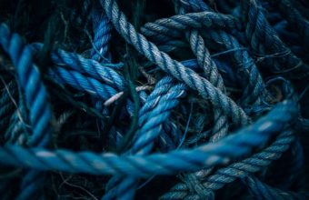 What Knot Do Arborists Use?