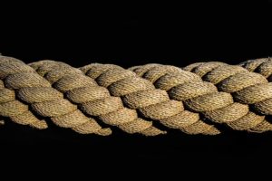 Why Do Arborists Use Rope