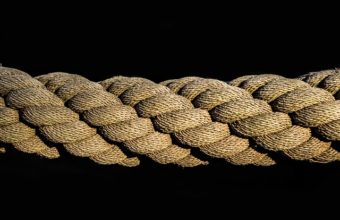 Why Do Arborists Use Rope?