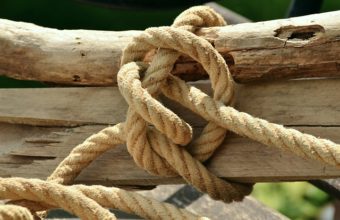 What Is The Best Knot For Securing To A Tree?