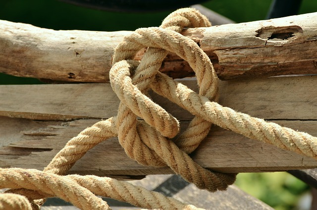 What Is The Best Knot For Securing To A Tree?