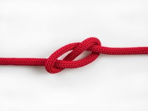 What Is The Best Knot To Support A Tree