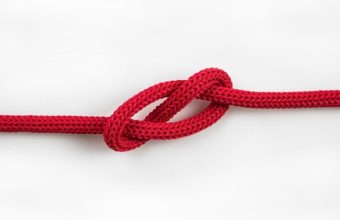 What Is The Best Knot To Support A Tree?