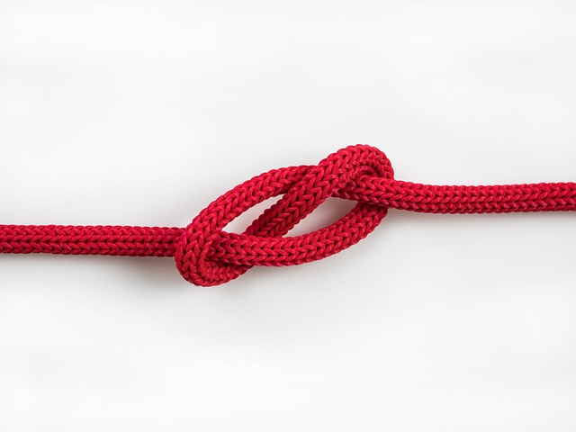 What Is The Best Knot To Support A Tree?