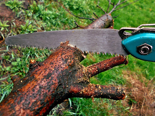 What Is The Best Tool When Cutting Large Trees And Limbs?